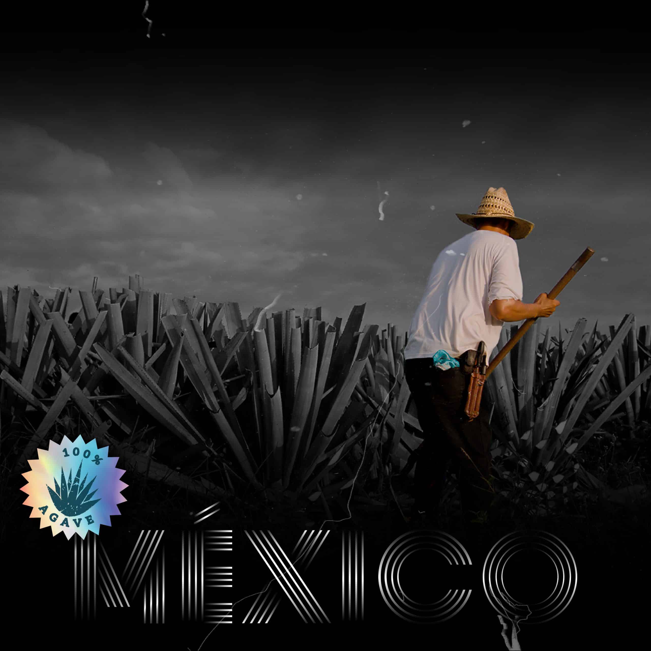 Imagen de Agave y México
